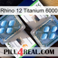 Rhino 12 Titanium 6000 viagra5